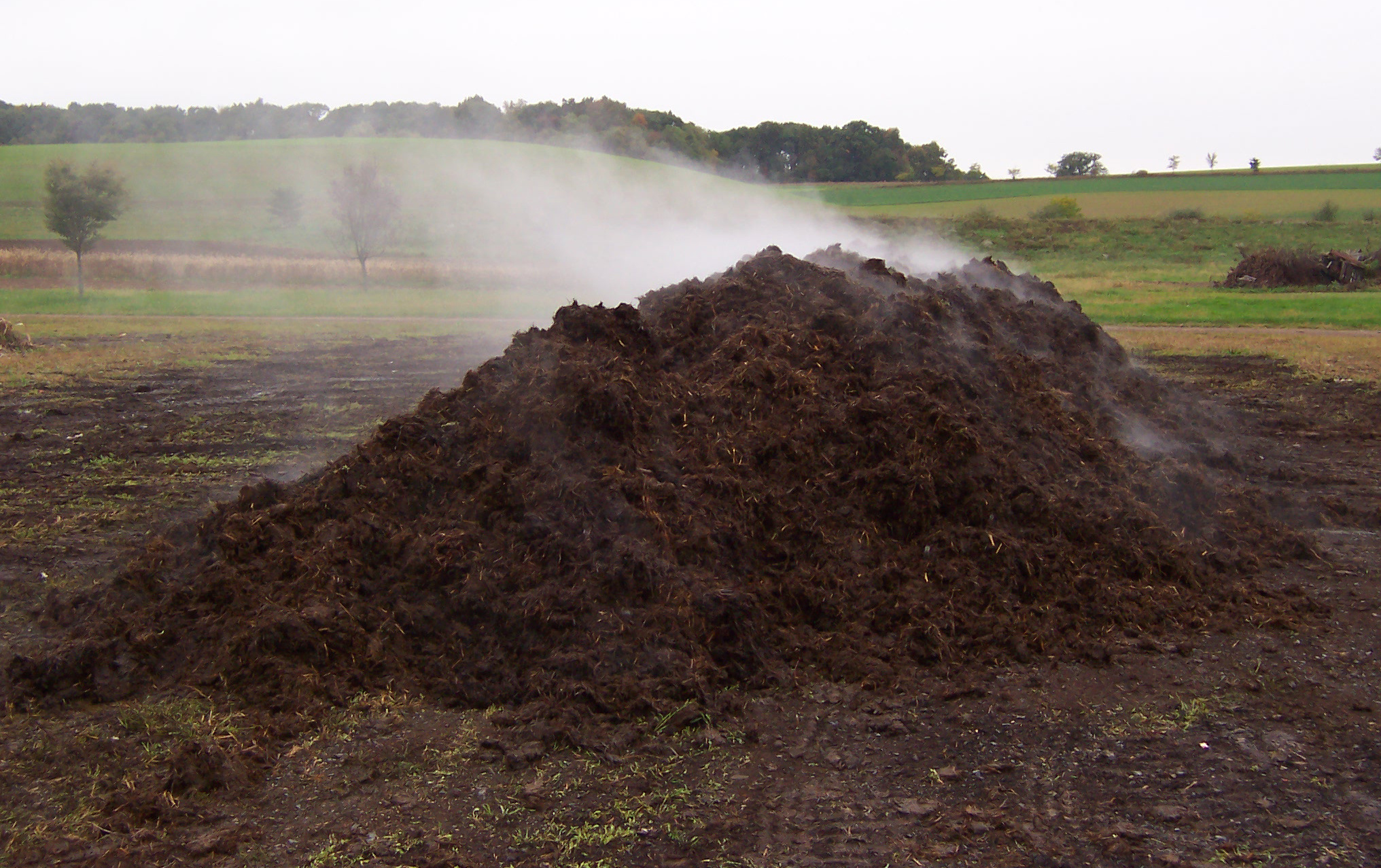 compost-pile-steaming-06-1